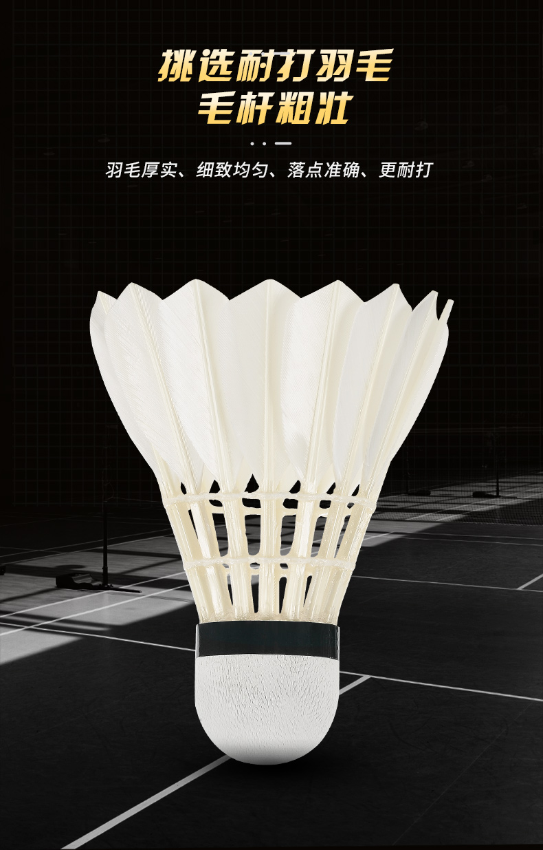 New 12PCS Professional Badmint - Badminton Youtube ulasan dan harga