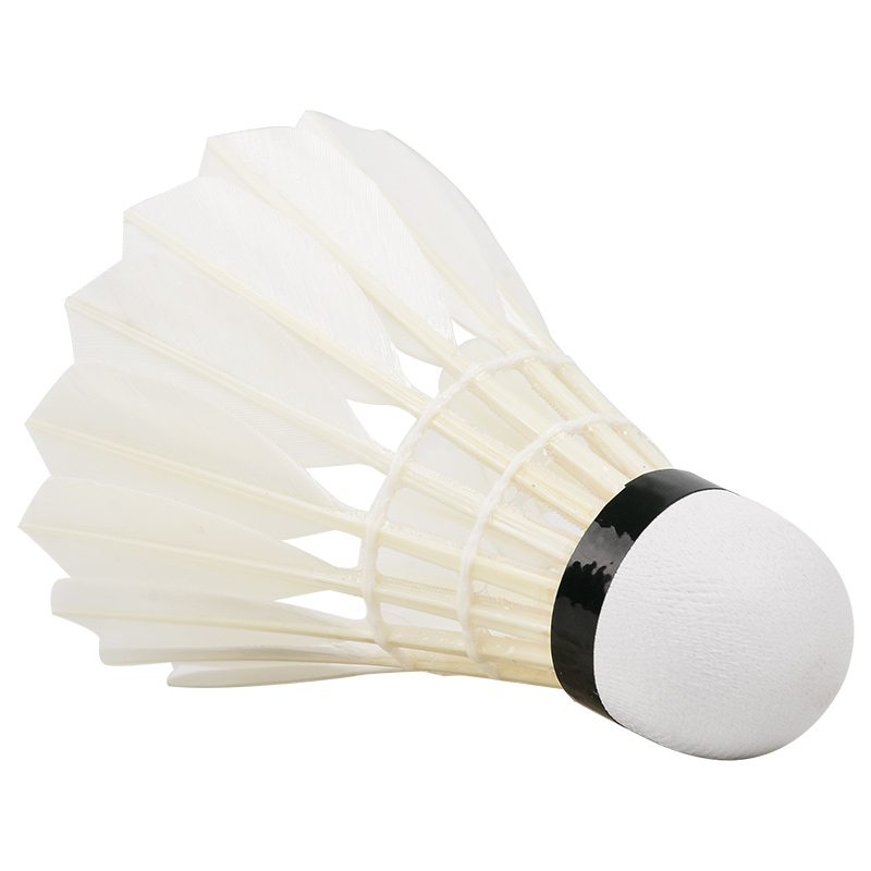 New 12PCS Professional Badmint - Badminton Youtube ulasan dan harga
