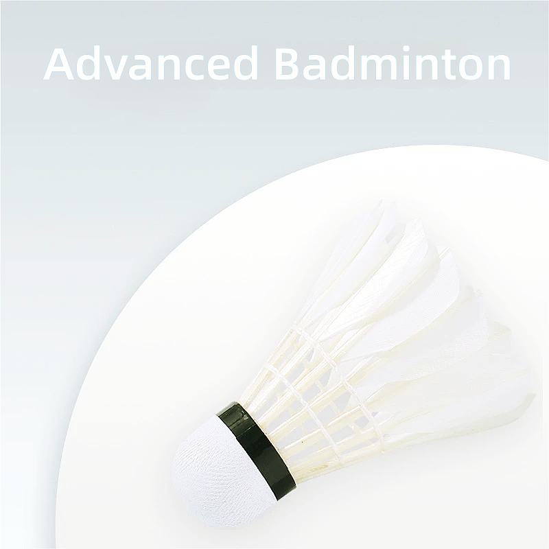 3/6/12Pcs 16 Feather Advanced  - Badminton Youtube ulasan dan harga